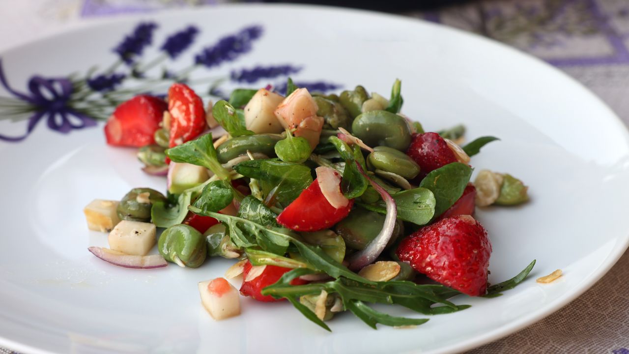 FAVA FEVA E … 5 combinações vencedoras